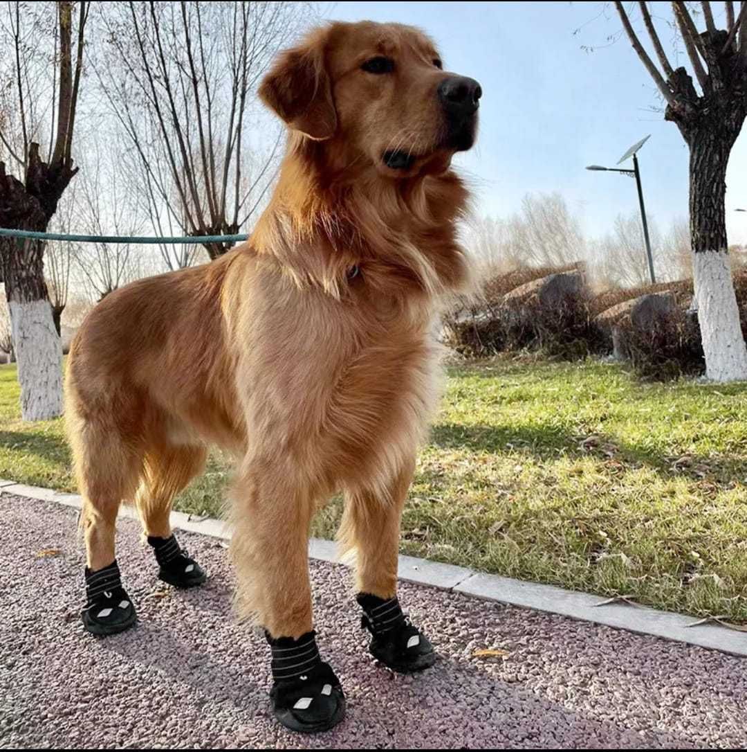 Buty Wodoodporne dla psa nowe
