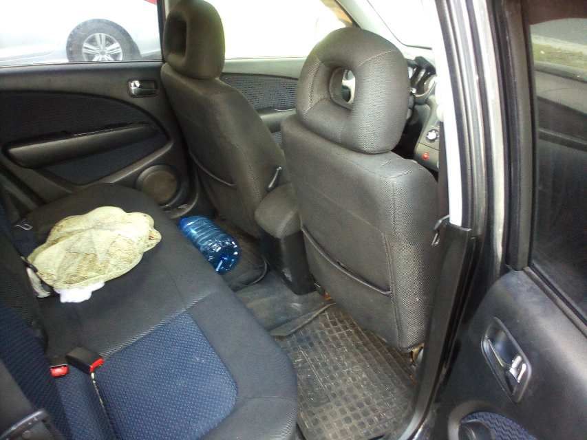 Продам авто в гарному сталні