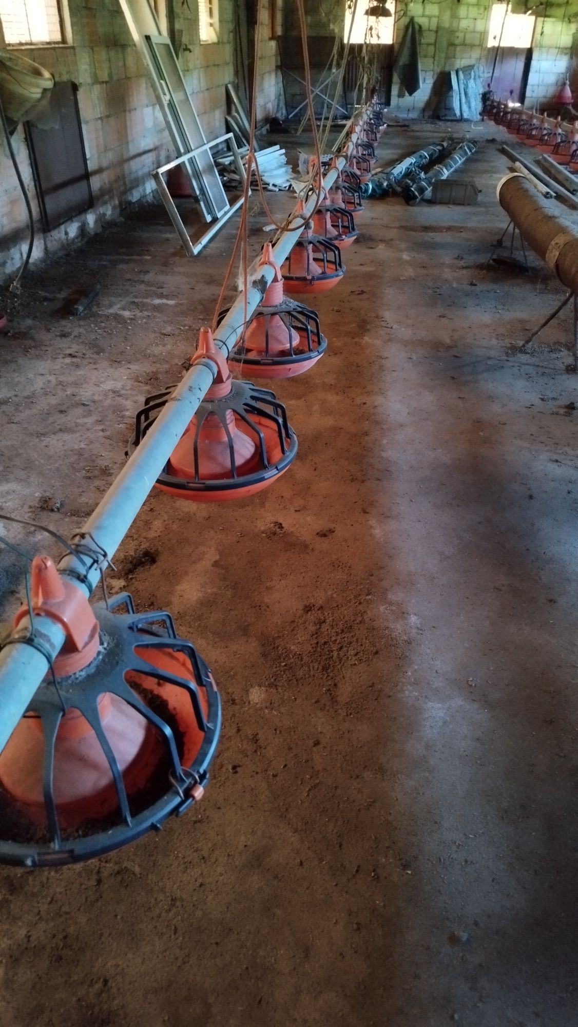 2 Linhas de alimentação para aviario