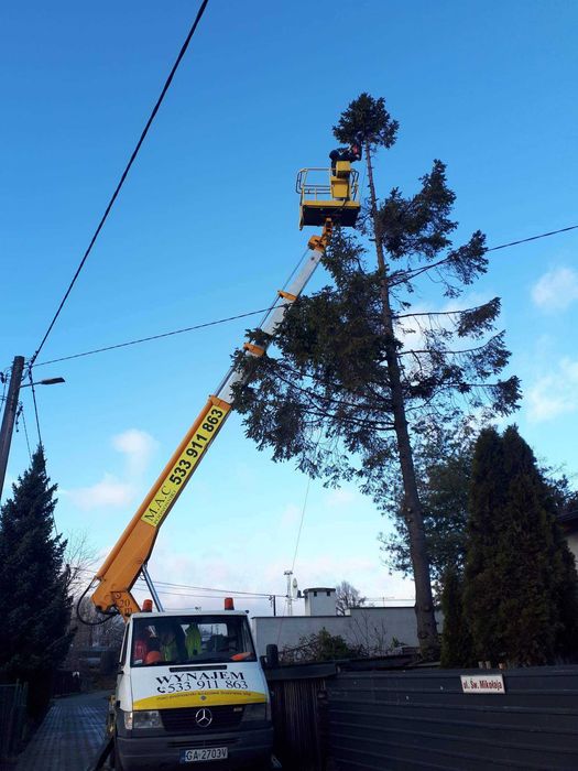 Przycinka pielęgnacyjna drzew,wycinka podnośnik koszowy 20m Gdynia