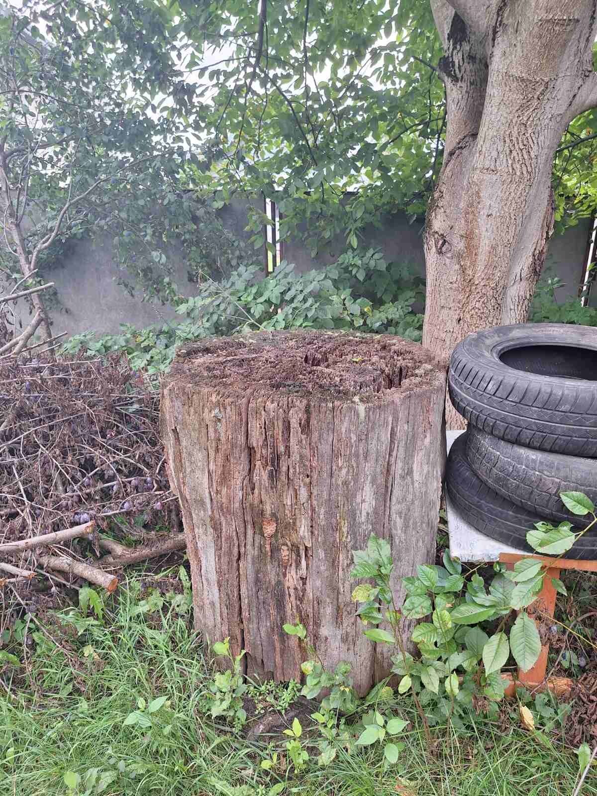 Дрова, пиломатеріали