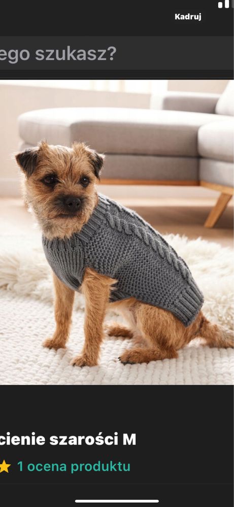 Sweterek dla psa