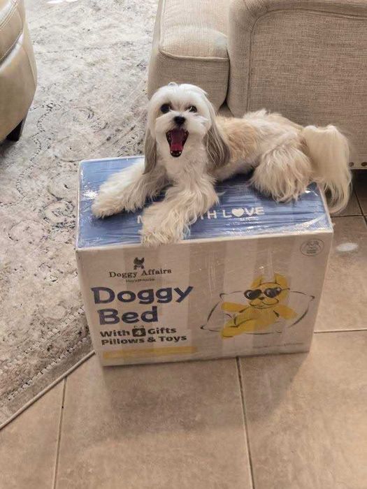 Лежанка Лежак для кота собаки Ліжко для тварин. Твій трон-обійми 24/7