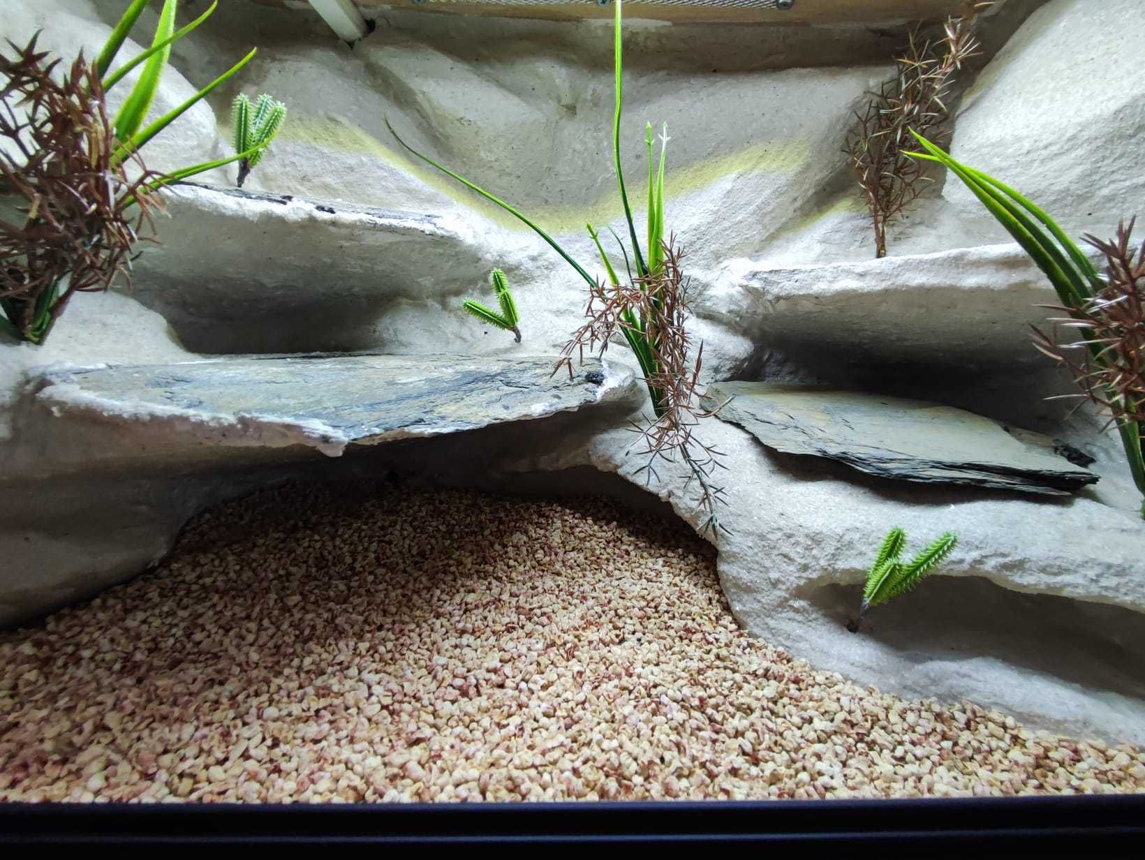 Terrarium pustynne nr635 60/40/40 dla gekona lamparciego NA ZAMÓWIENIE