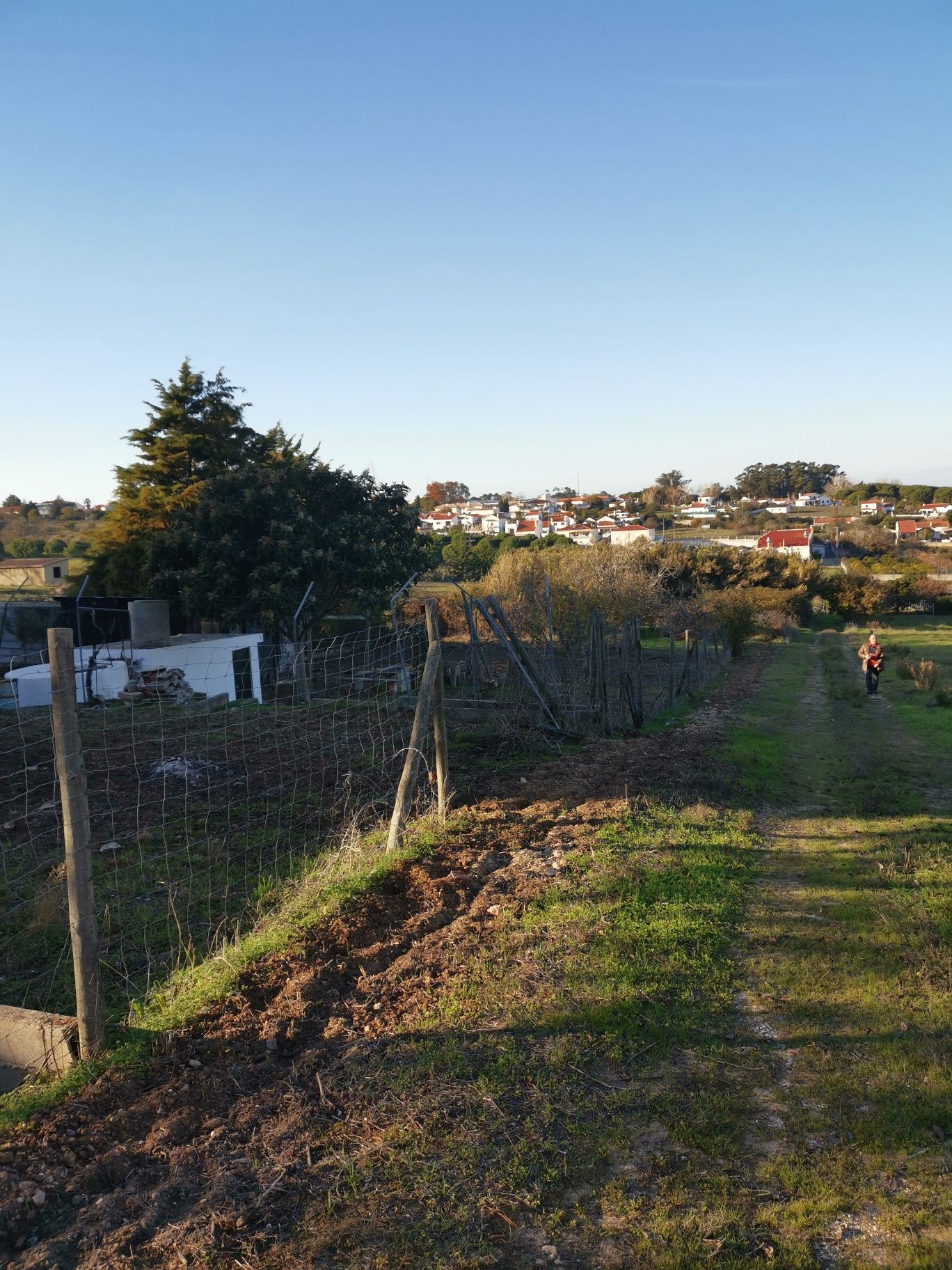 Quintinha em Sesimbra com árvores de fruta