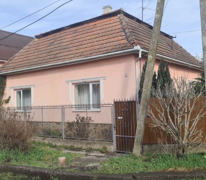 Здається дім біля термального басейна в Берегово подобово