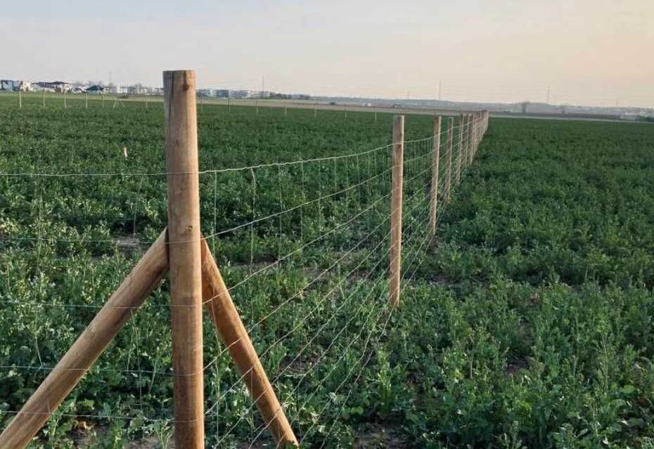 Przeszkody jeździeckie Drągi do Przeszkód dla KONI wałki  i poprzeczki