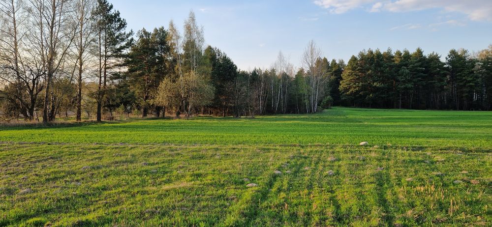 Sprzedam Działkę Budowlaną ZWIERKI 1385m2