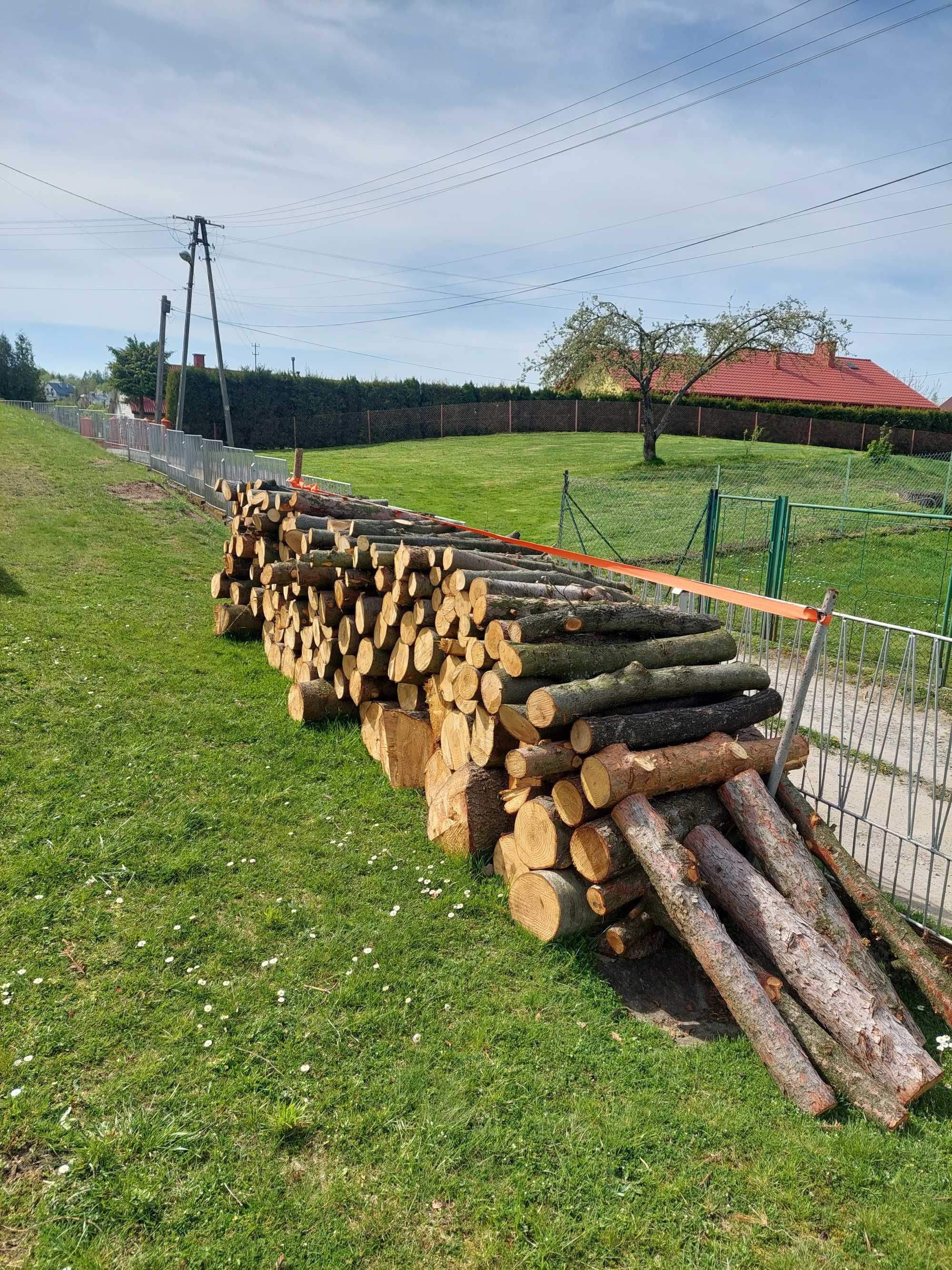 Drzewo przeznaczone na opał