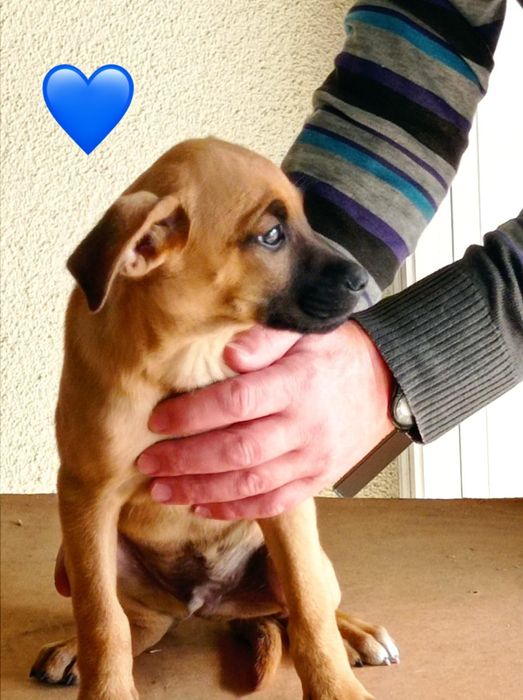 Bebés para adoção responsável