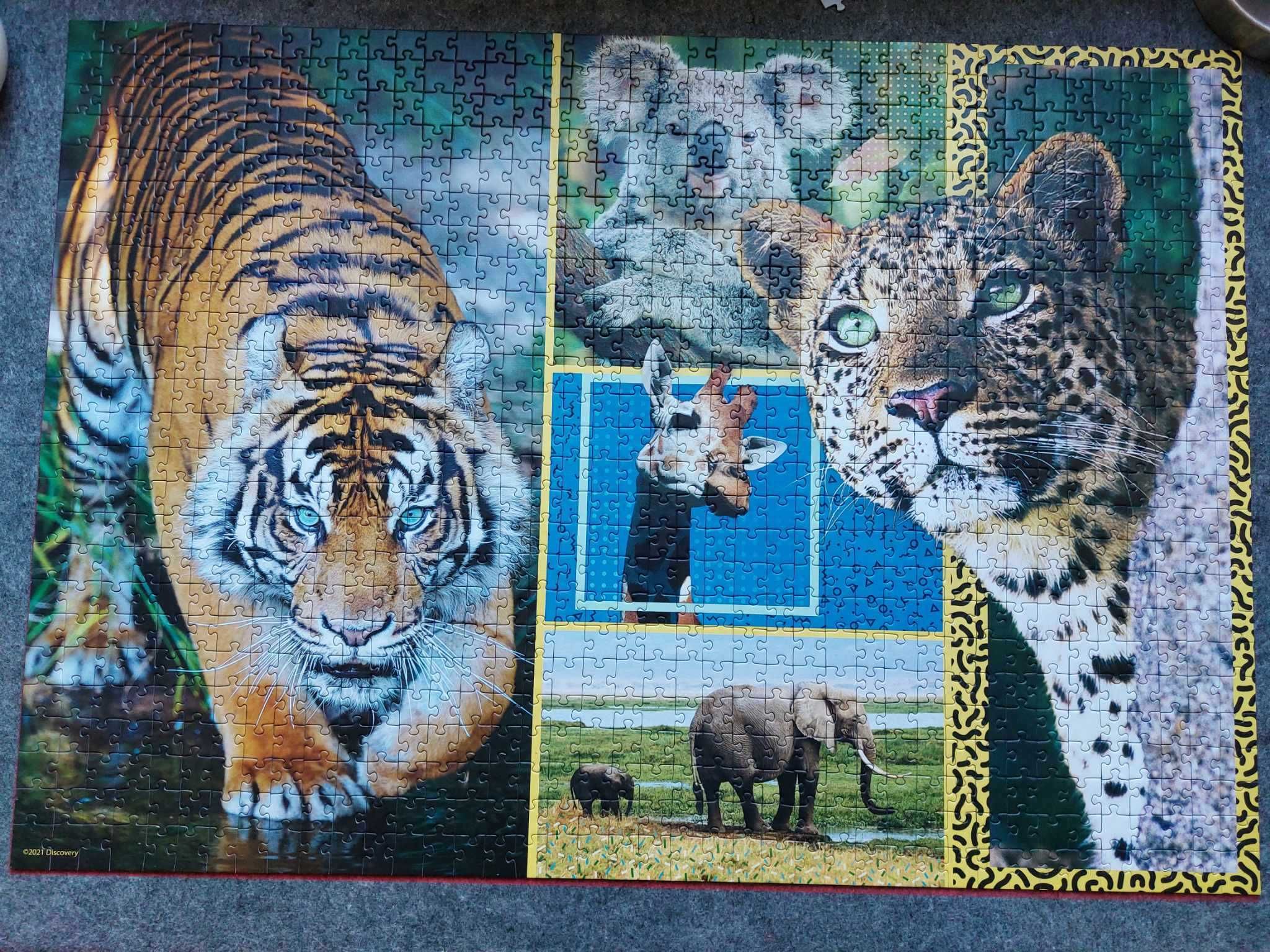puzzle 1000 eko trefl Animal Planet 91751