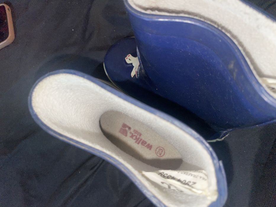 Резиновые сапоги