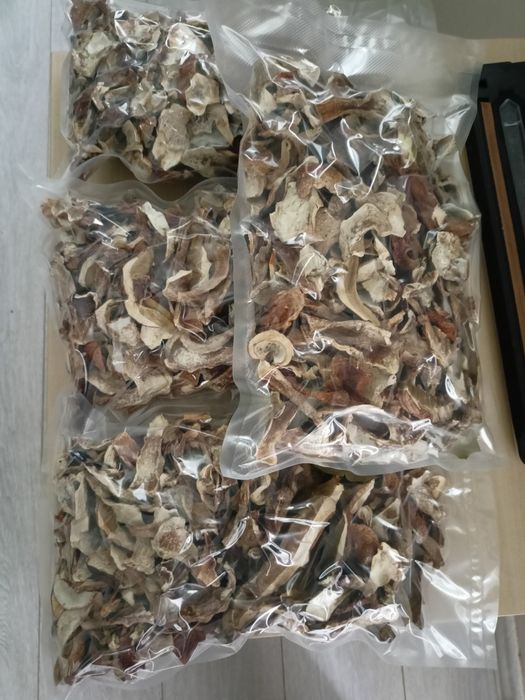 Borowik prawdziwek suszony