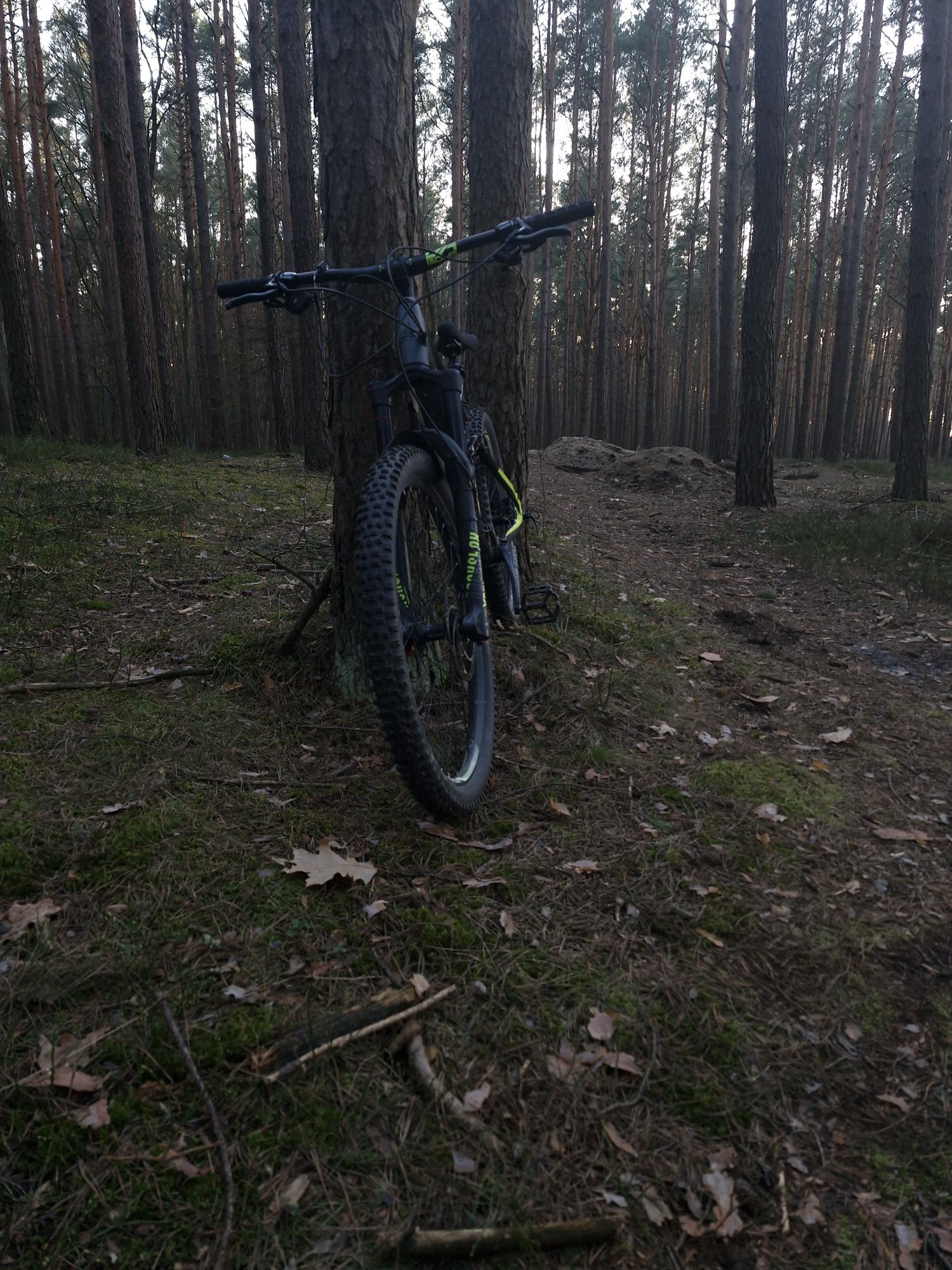 Rower enduro bulls wild mojo 1 2019 [mtb,enduro,dh]