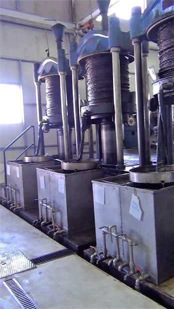 Vendo azeite de 2024 e 2023