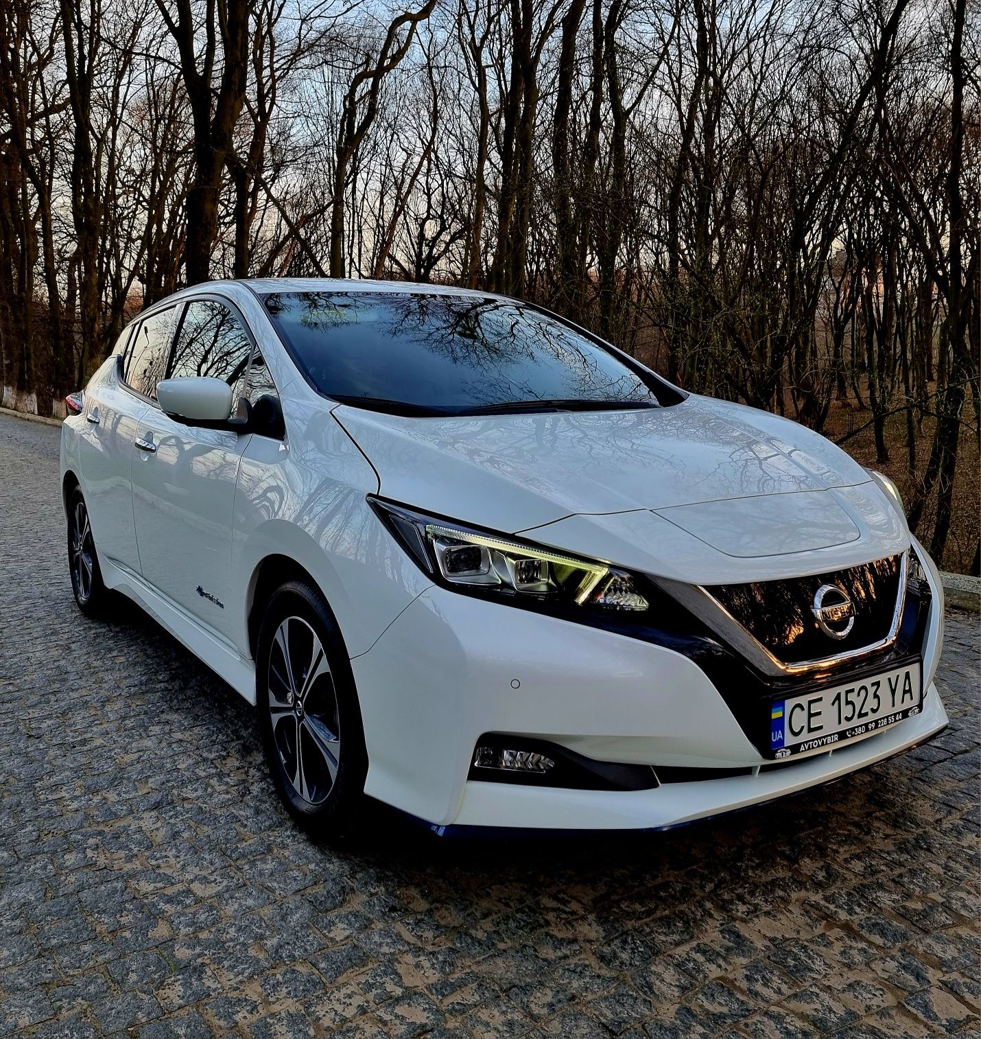 Nissan leaf Tekna