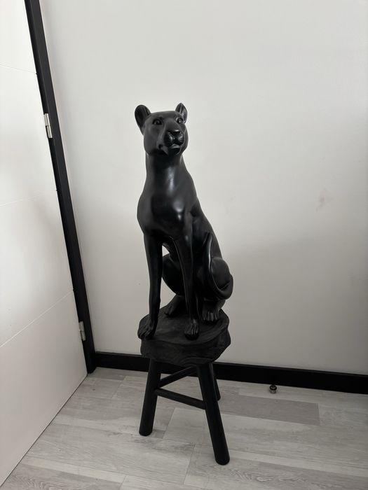 Pantera em Estado Novo Homa