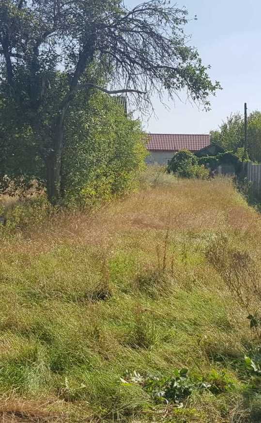 Продам ділянку 14 соток на самому березі річки Десна.