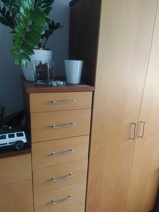 Meble drewniane do salonu
