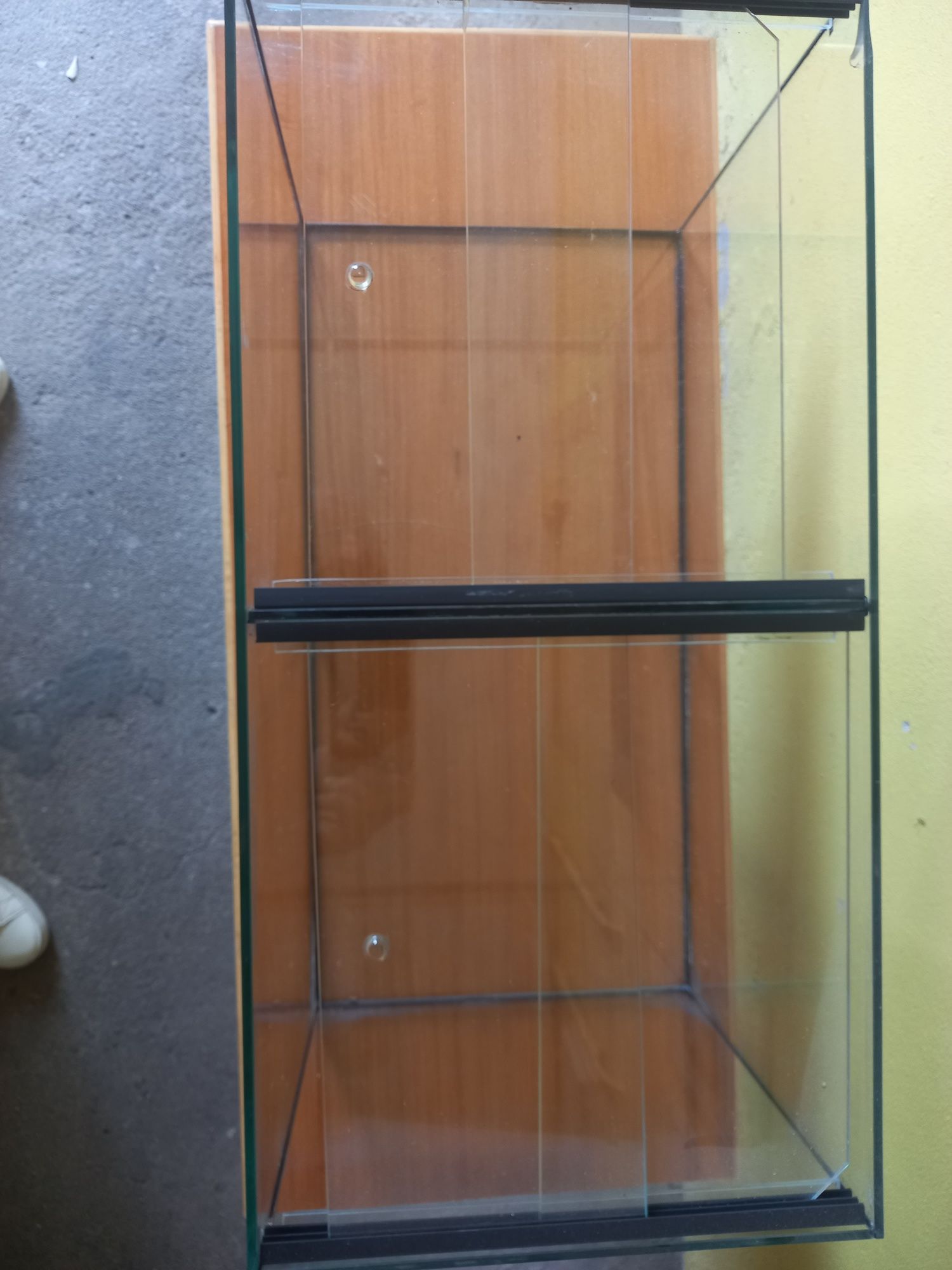 Aquários para peixes