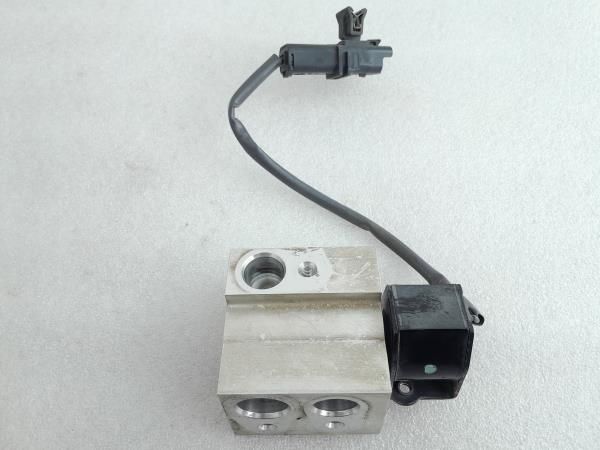 Válvula genérica RENAULT Zoe (BFM_)