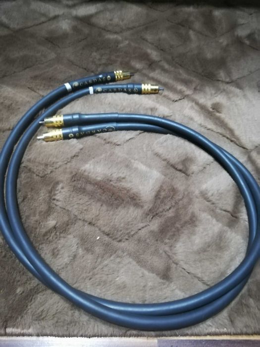 Cardasa golden reference rca