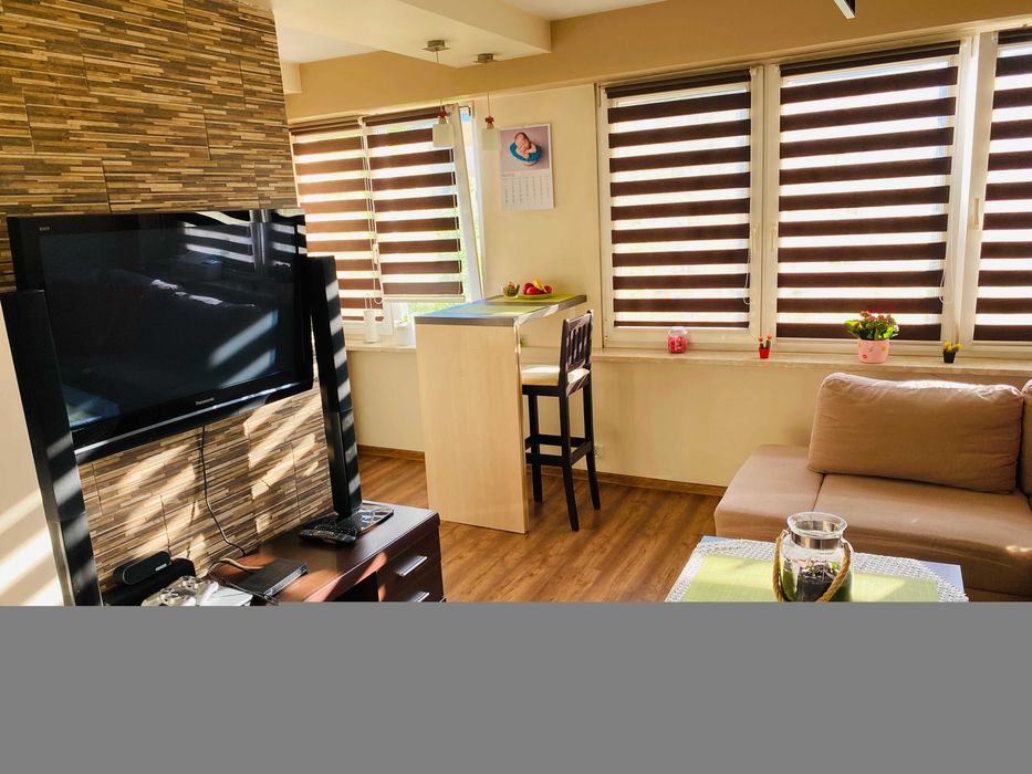 Przytulne mieszkanie na wynajem przy Politechnice