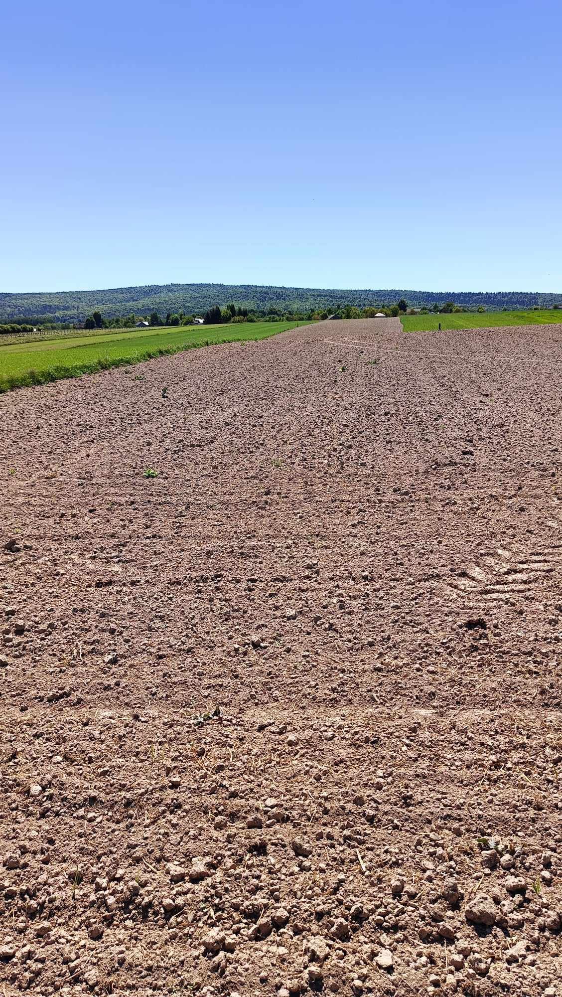 Działka rolna o pow. 4200m2