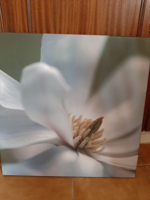 Quadros vários temas