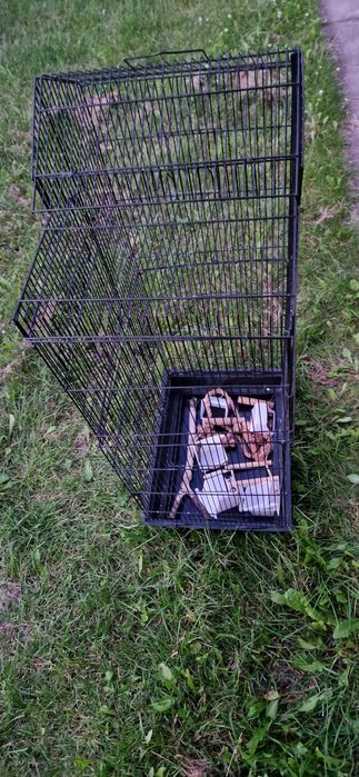 Klatka dla ptaszków