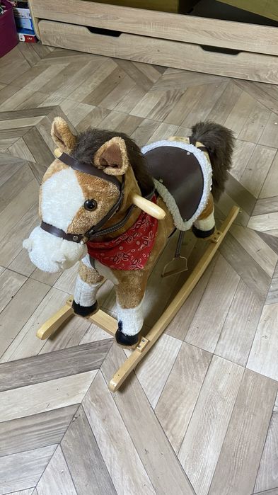 Konik na biegunach