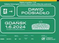 cena do negocjacji, bilet na koncert Dawida Podsiadło 01.06 Gdańsk