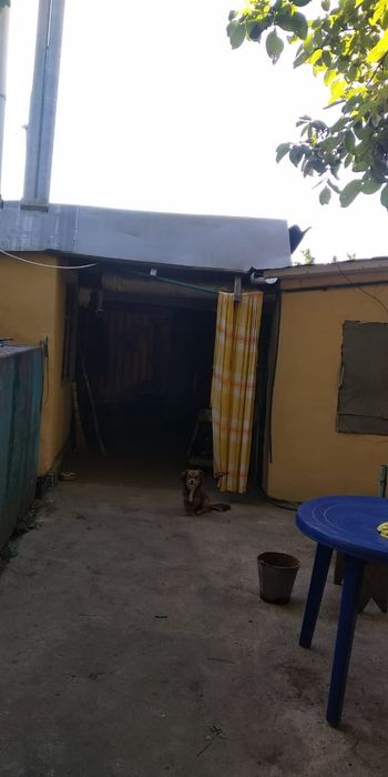 Продаю хату з постройками