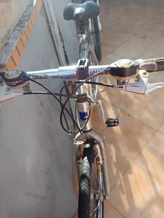 Dias bicicletas uma de passeio e outra de  desporto