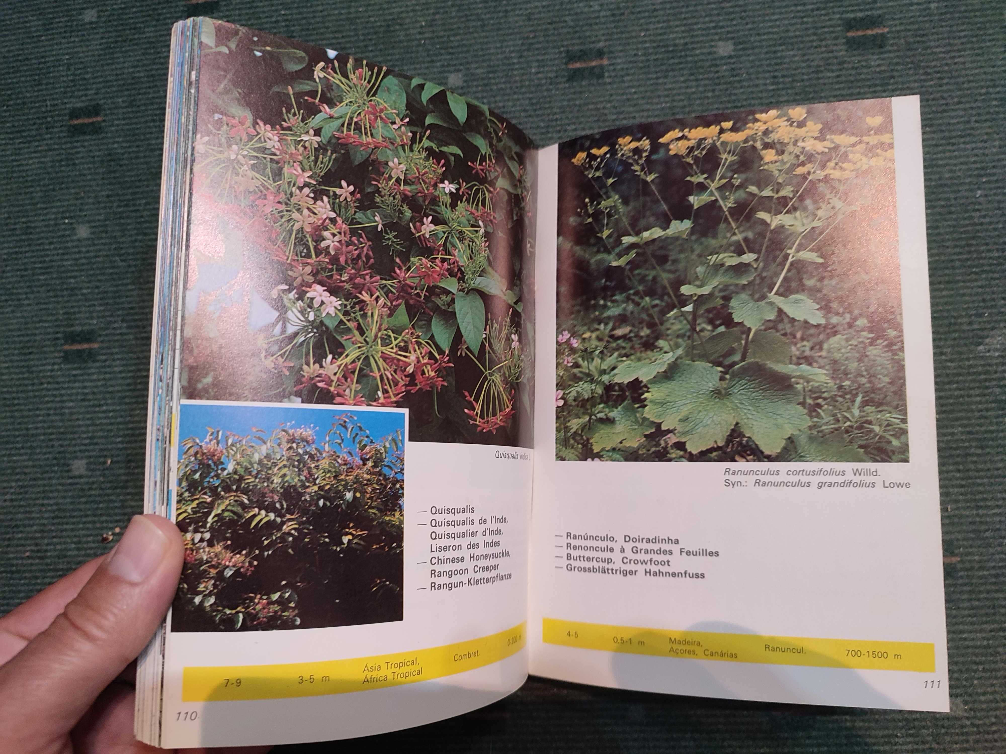 Madeira - Plantas e Flores - Luis de O. Franquinho, António da Costa