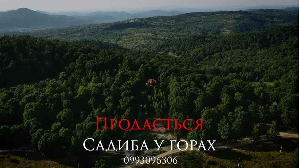 Садиба в лісі чан сауна