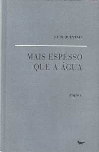 Mais espesso que a água-Luís Quintais-Cotovia