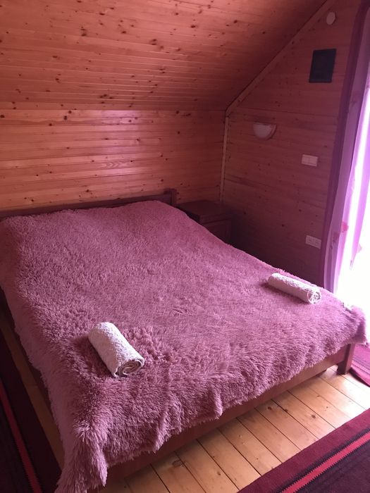 Котедж. Відпочинок а Карпатах.