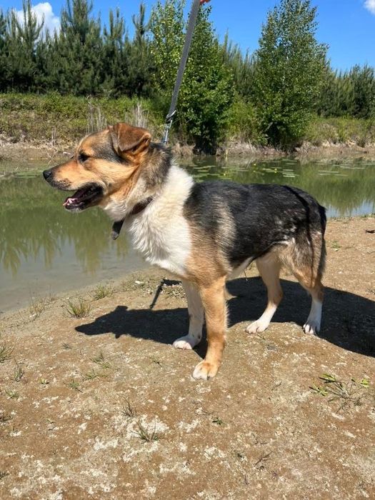 Parys błaga o dom !