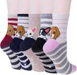 Softcozy 5 par  ślicznych skarpetek bawełnianych ze zwierzętami