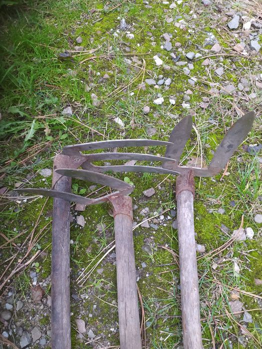Motyka do kopania ziemniaków i innych warzyw