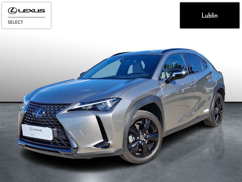 Lexus UX Lexus UX 250H od Dealera