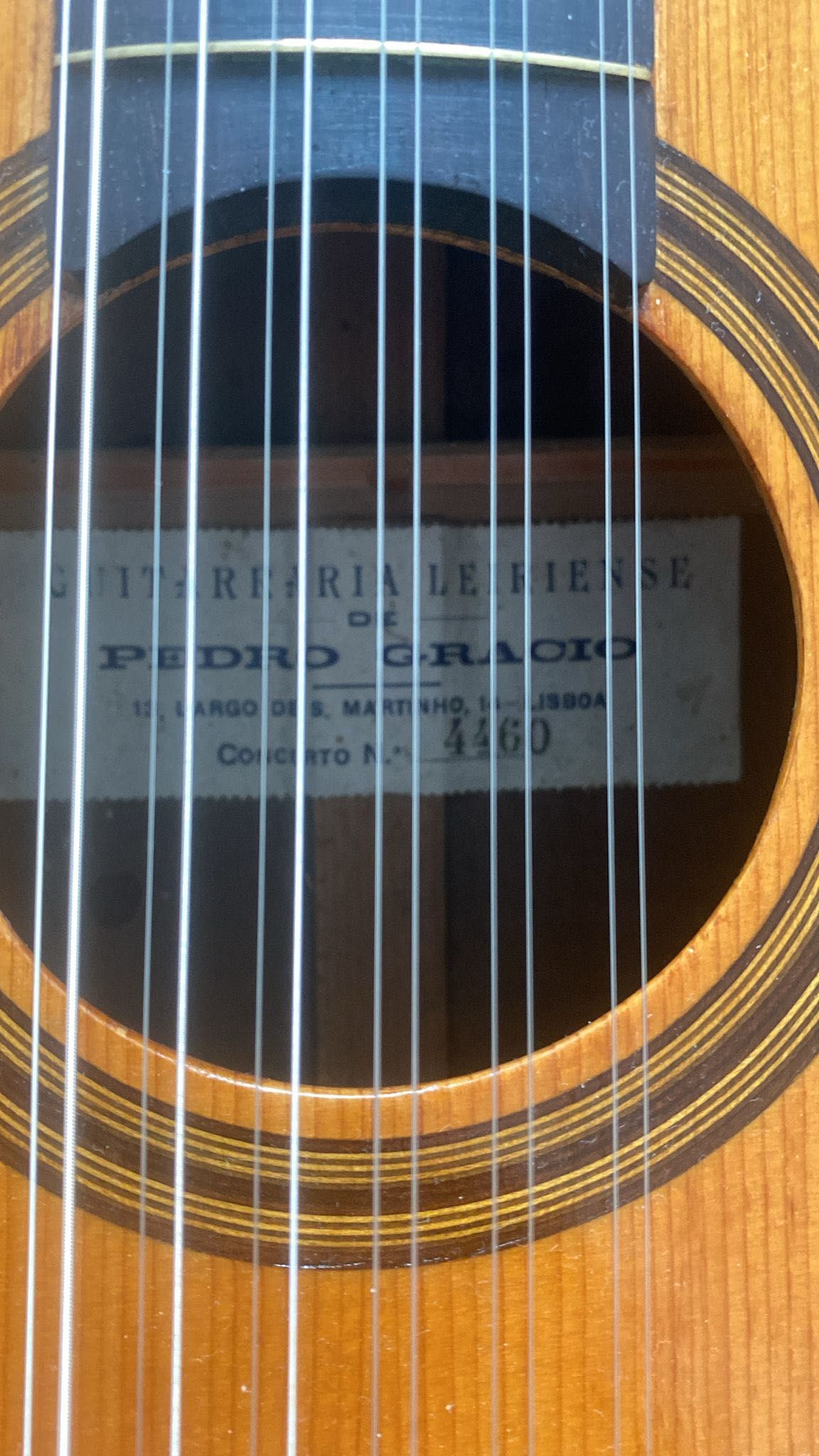 Guitarra Portuguesa Pedro Grácio
