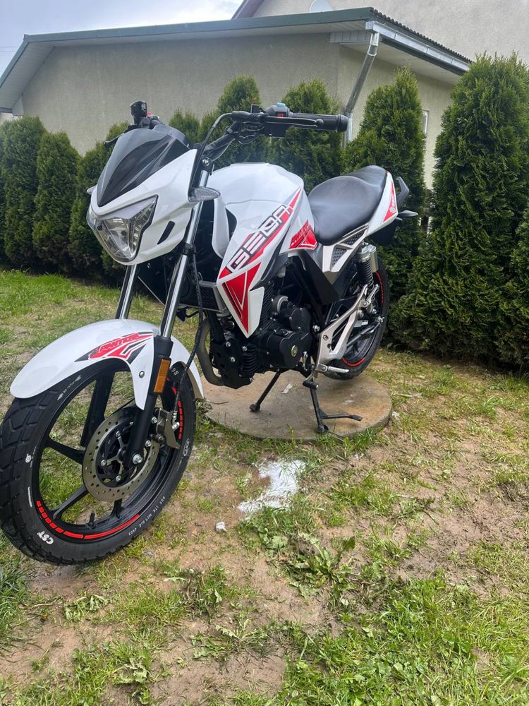 geon pantera 250
