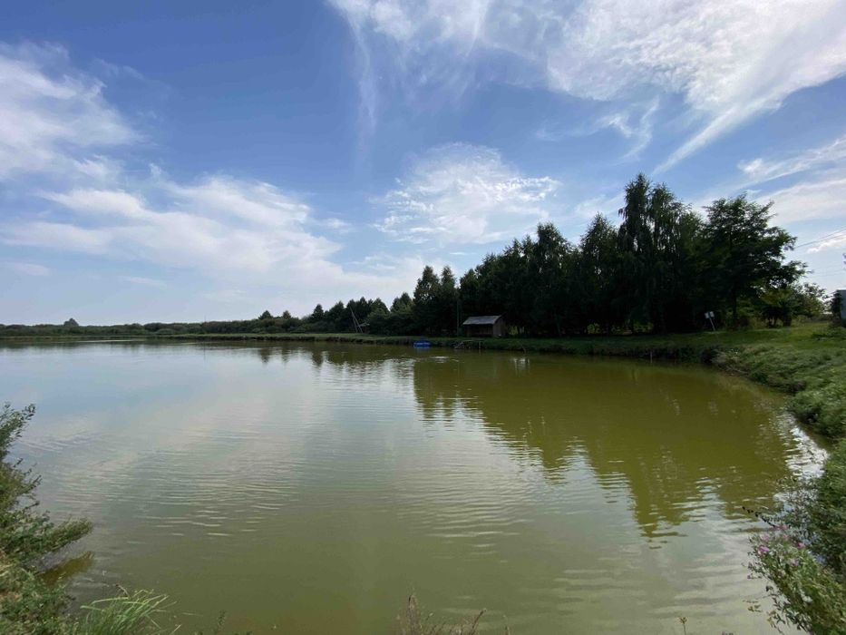 Здам в оренду водойму 1 га ставка та земельну ділянку
з хорошим розташ
