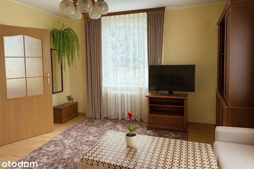 Dom w Gostyninie - ul. Bierzewicka