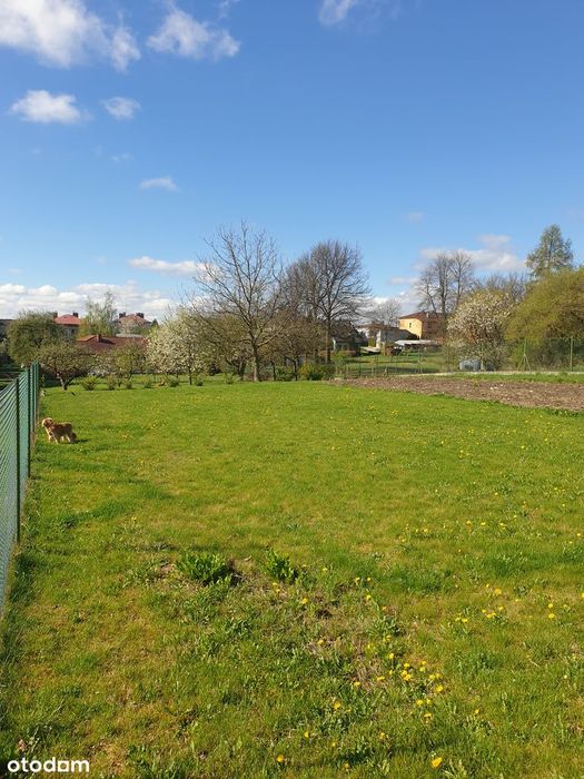 Działka budowlana 601 m² w spokojnej okolicy