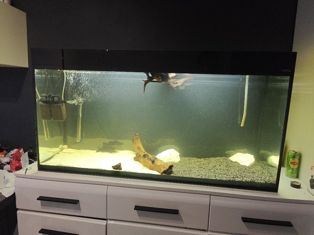 Aquael glossy 260l wraz z osprzętem w