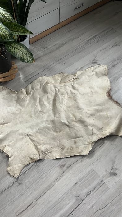 Skóra z dzika brazowa