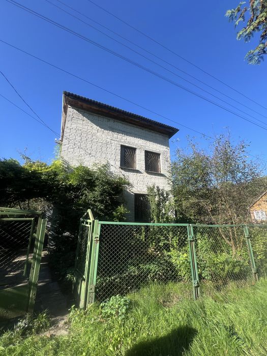 Калинка велика керниця